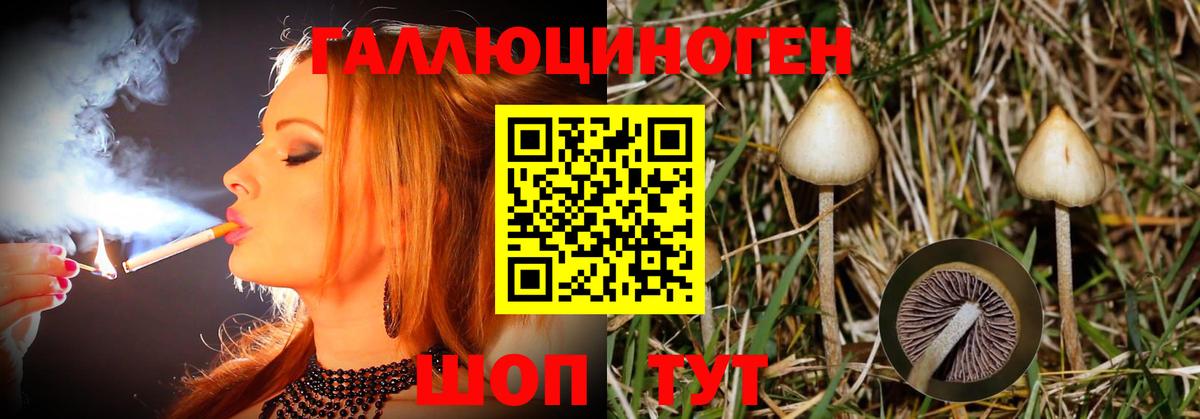 Псилоцибиновые грибы мухоморы  Псилоцибиновые грибы GOLDEN TEACHER  дарнет шоп  Вход с VPN  Среднеуральск 